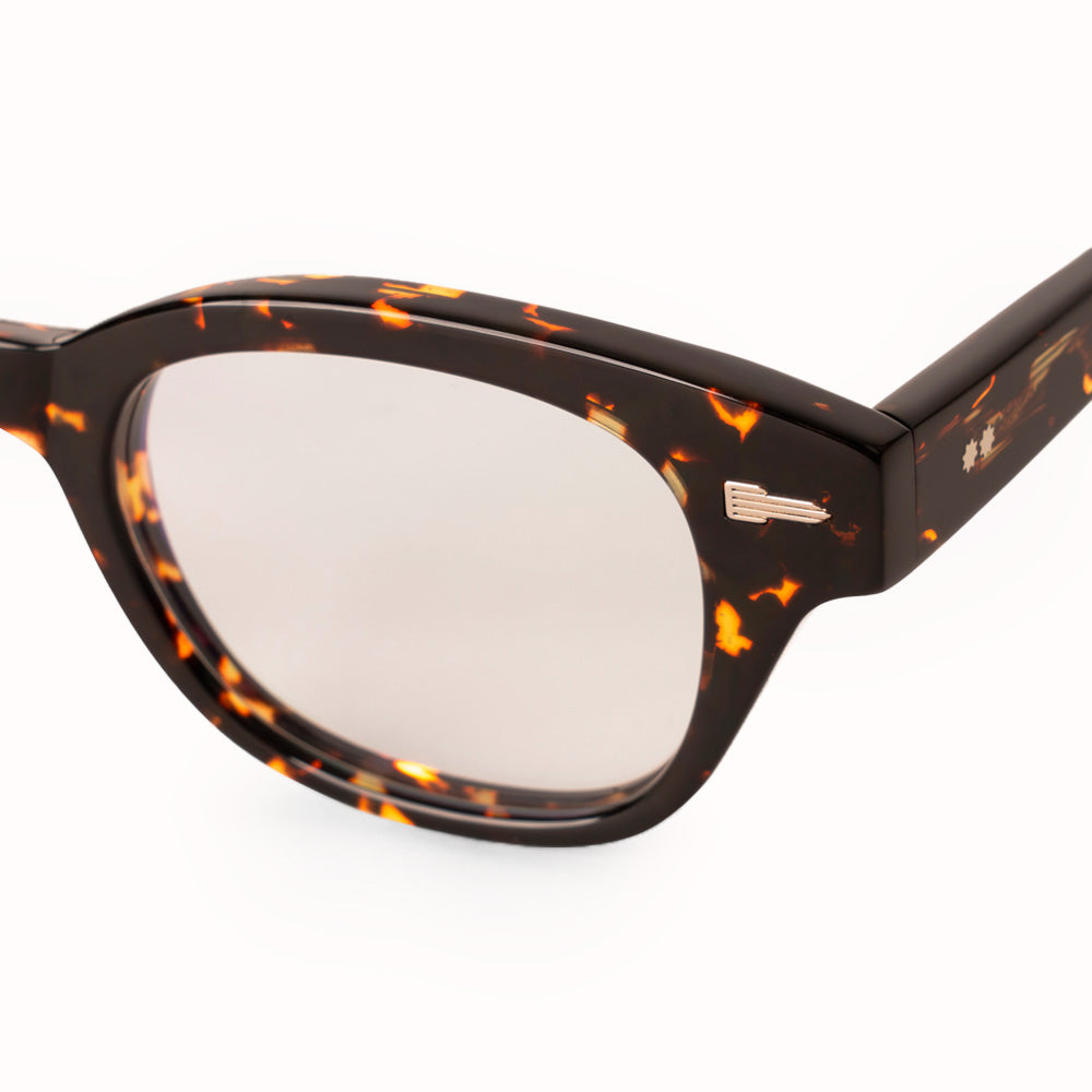 Ray Chelonian RX