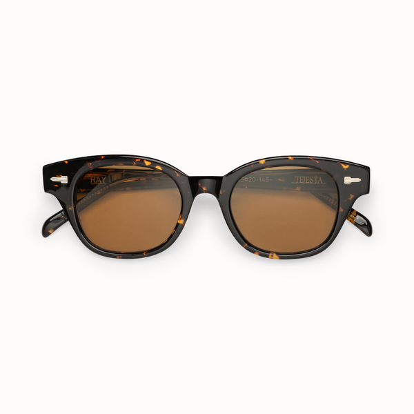 Ray Chelonian | Sunglasses | TEJESTA display picture 3