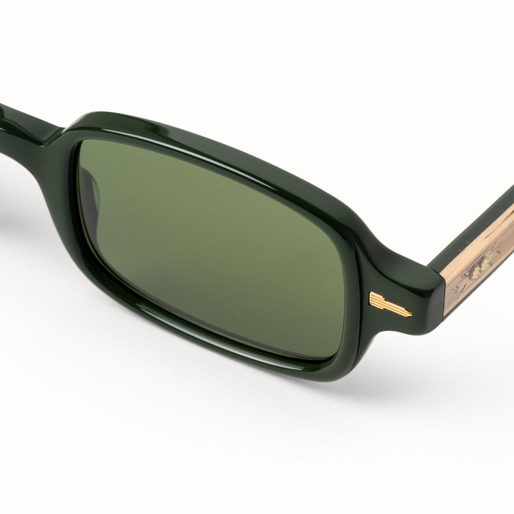 Dixon BRG Sunglasses TEJESTA